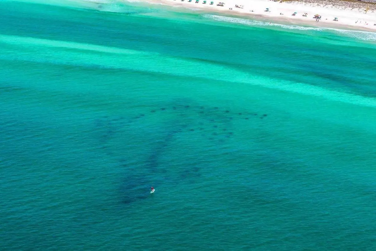 Beach Haven- Beach Pointe 703 Destin 0*,  USA